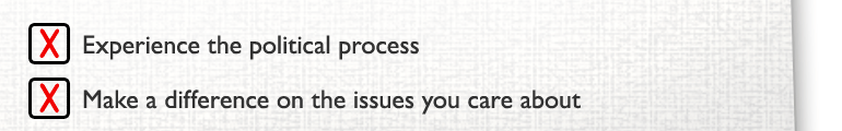 Experience the political process